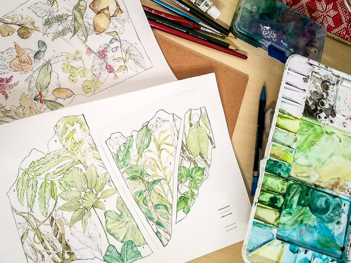 Various illustrations of botanical elements artfully arranged on a table, along with drawing and painting utensils.