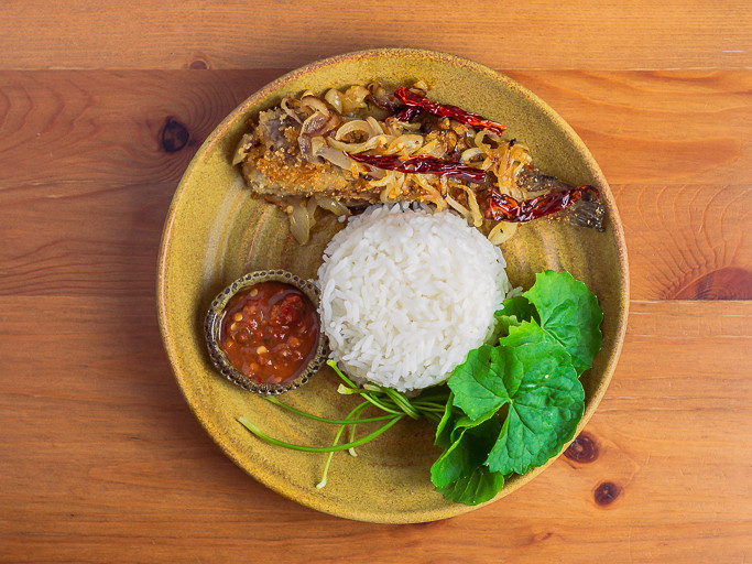 A plate of food displayed in a ceramic plate on a wooden table. On the plate is fried pekasam ikan haruan with chillies and onions, daun pegaga, and sambal belacan in a small dish, all surrounding a mound of white rice.