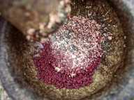 Lesung batu berisi biji sawi yang telah direndam dan ditumbuk Lesung batu berisi biji sawi yang telah direndam dan ditumbuk