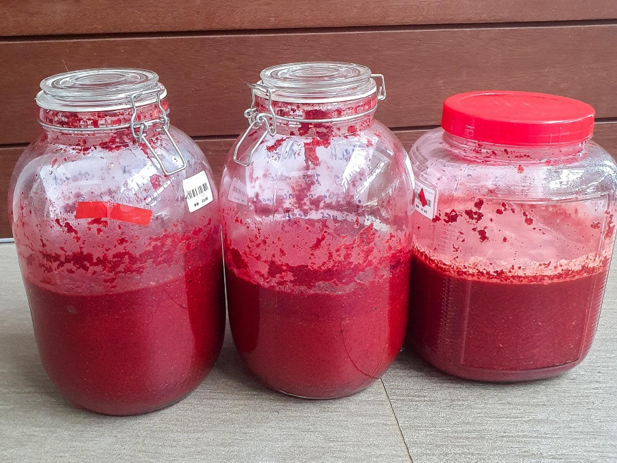 My three batches of wine with varying ratios. Photo: Mildred Voon