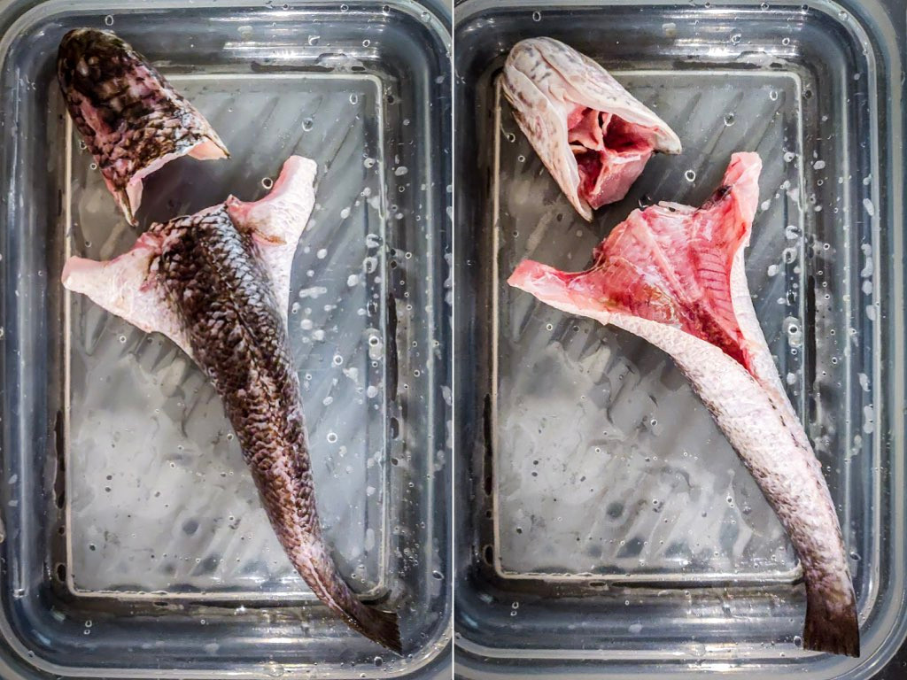 Di sebelah kiri, seekor ikan haruan siap disiang, diletak di atas bahagian perutnya di dalam bekas kaca. Di sebelah kanan, ikan haruan yang sama diterbalikkan untuk mempamerkan bahagian perutnya.